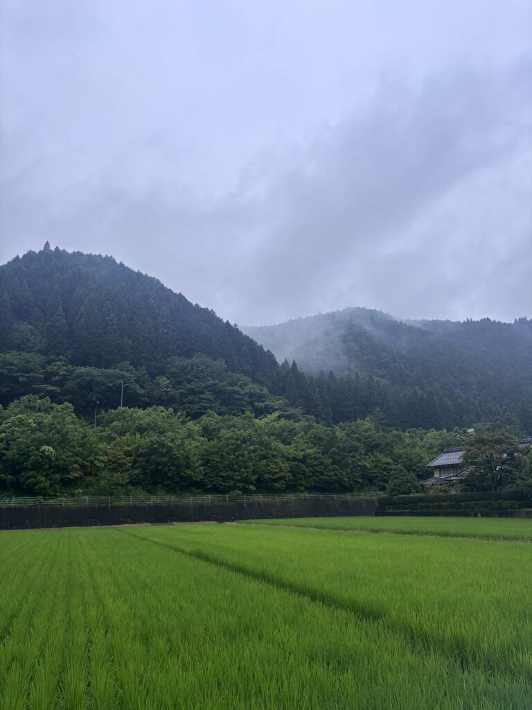 郡上八幡