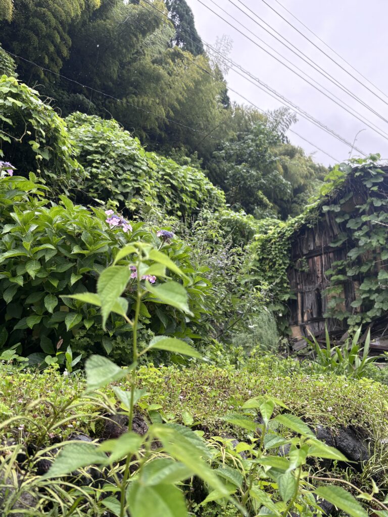 郡上八幡