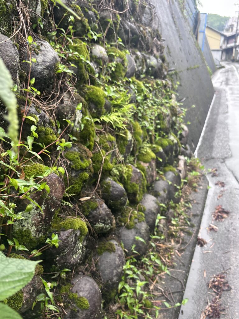 郡上八幡