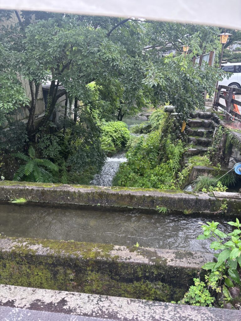 郡上八幡の街並み 自然豊かな水路