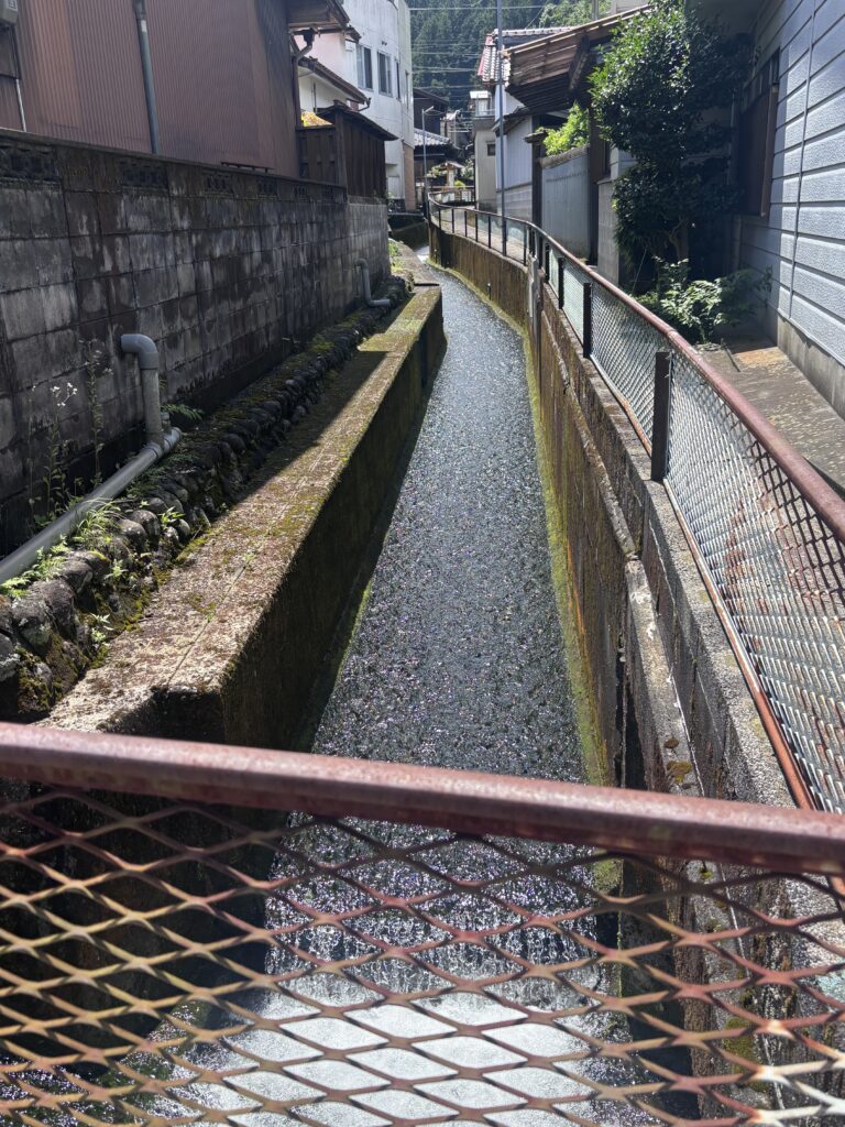 郡上八幡の美しい水路