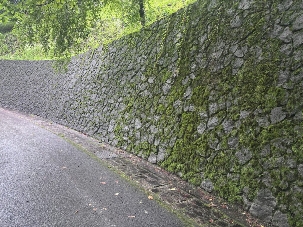 郡上八幡
